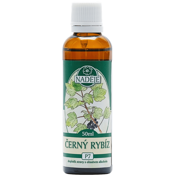 Naděje Černý rybíz tinktura z pupenů rostlin 50 ml